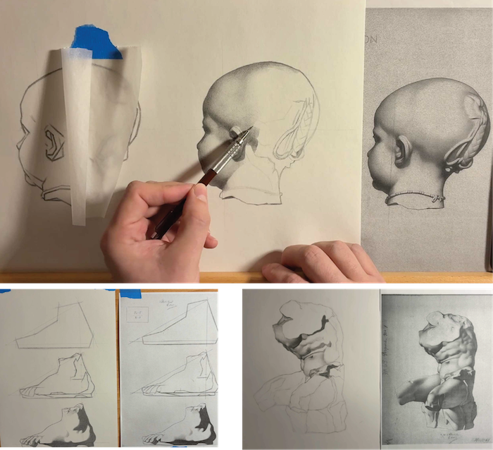 Mathew Fenton Smith Bargue Drawing